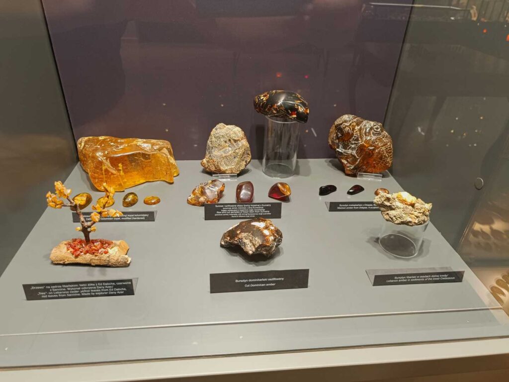 Amber Museum