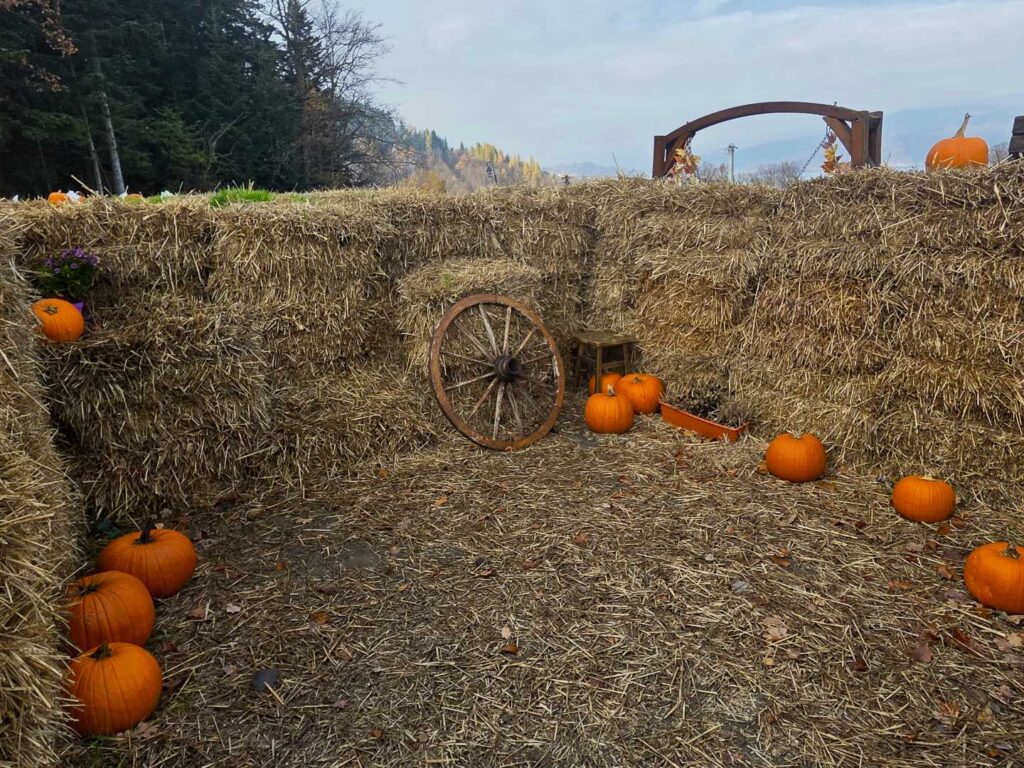 Labirynt Słomiany w Mucharzu