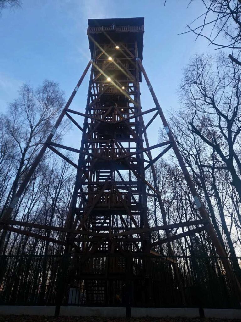 Wieża widokowa