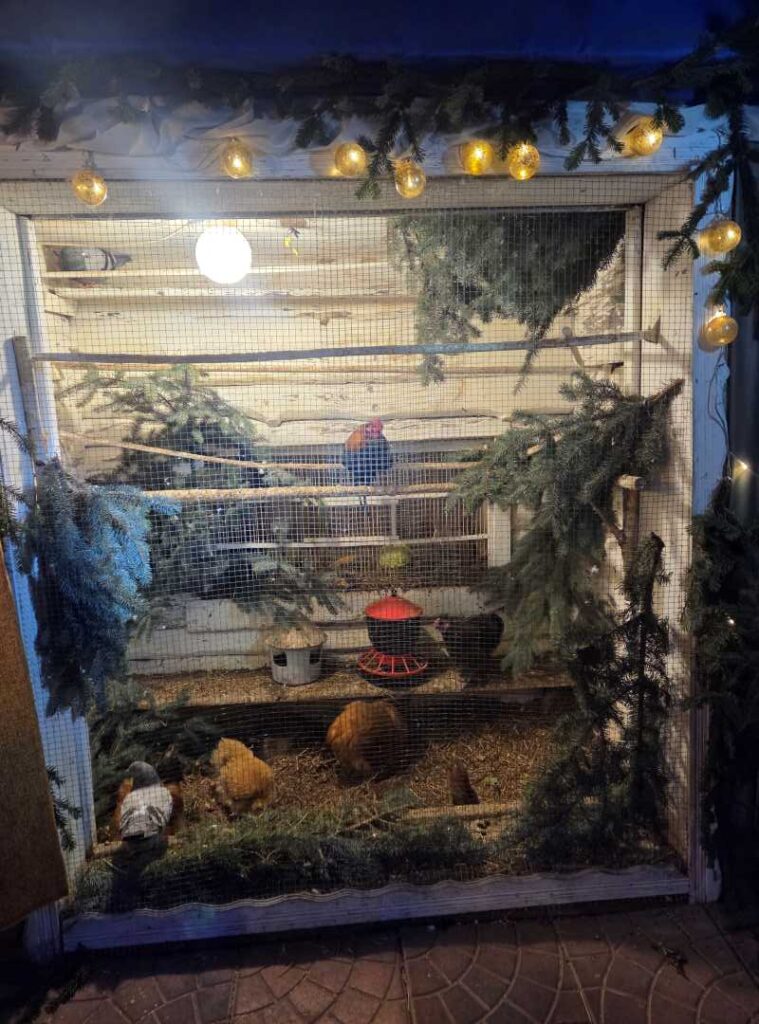 Szopka Bożonarodzeniowa – Kościół św. Macieja Andrychów